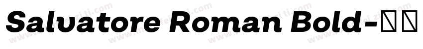 Salvatore Roman Bold字体转换